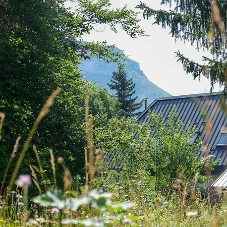 Lys Des Neiges Cote Foret Chalet *
