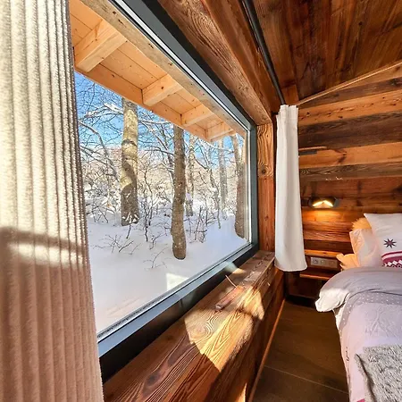 Lys Des Neiges Cote Foret